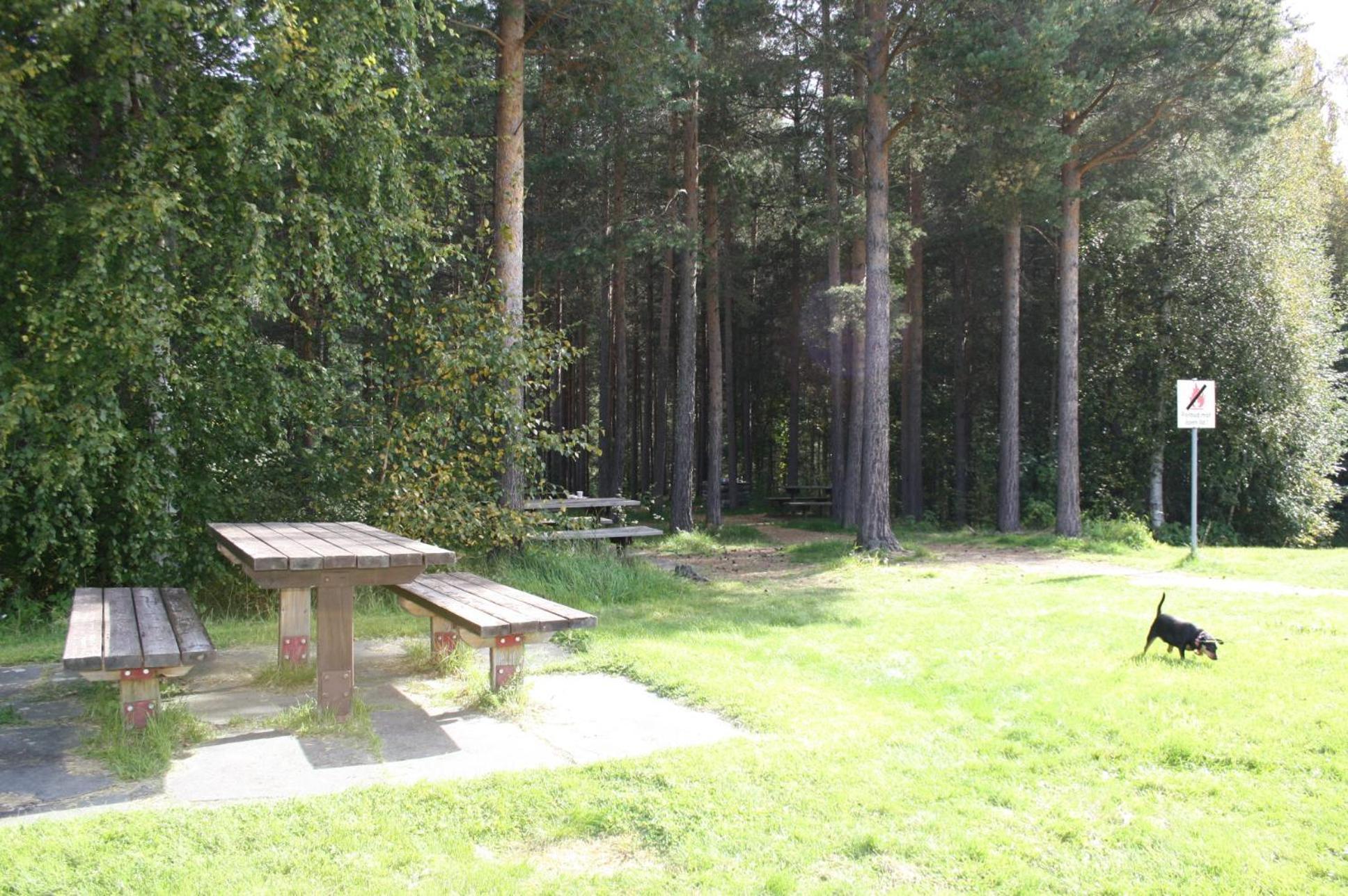 Dovreskogen Gjestegard As ภายนอก รูปภาพ